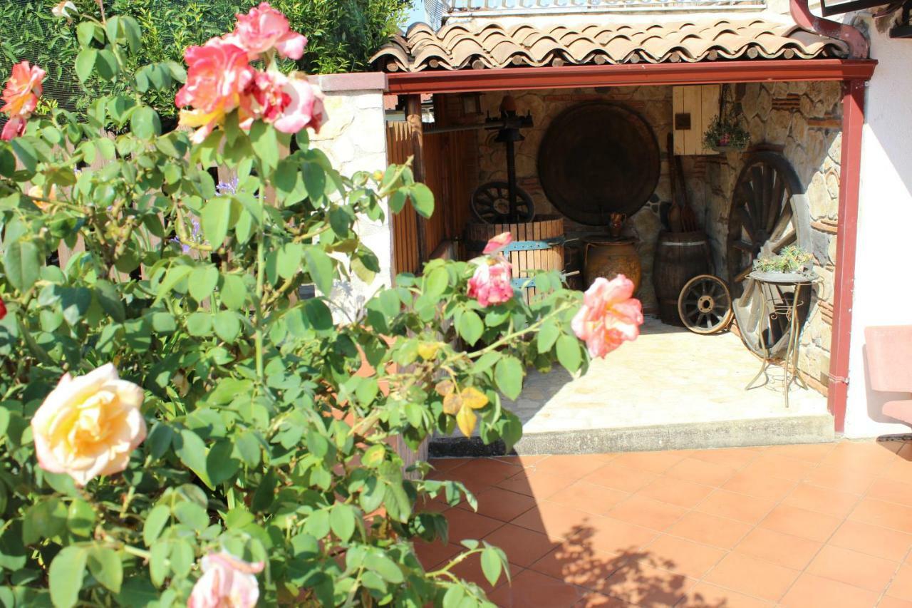 למזיה טרמה B&B La Vigna מראה חיצוני תמונה