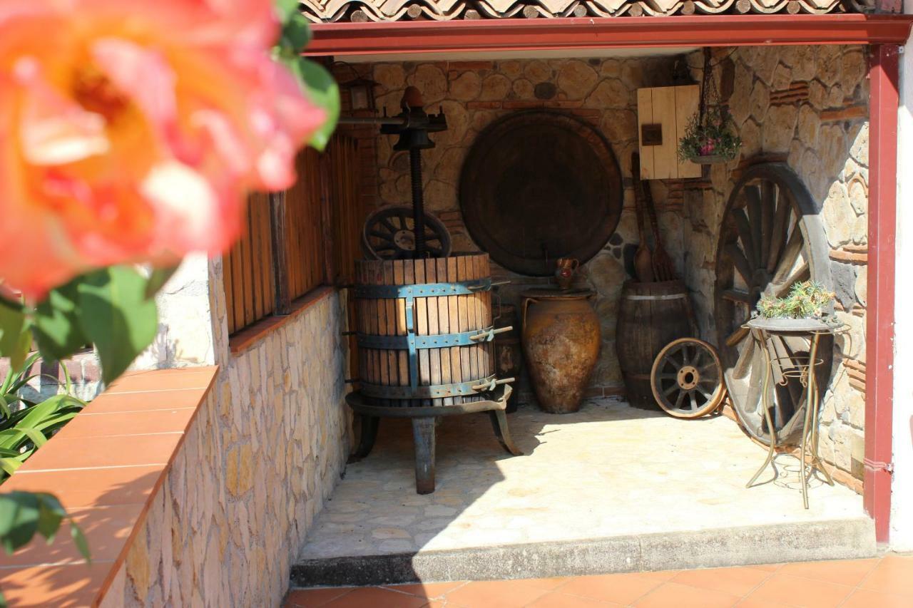 למזיה טרמה B&B La Vigna מראה חיצוני תמונה